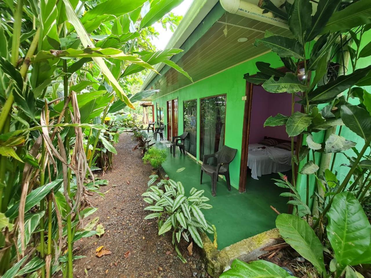 Rio Angeles Hostel Drake Bay Exterior photo